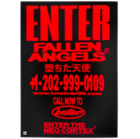 Fallen Angels — Visual Art Book